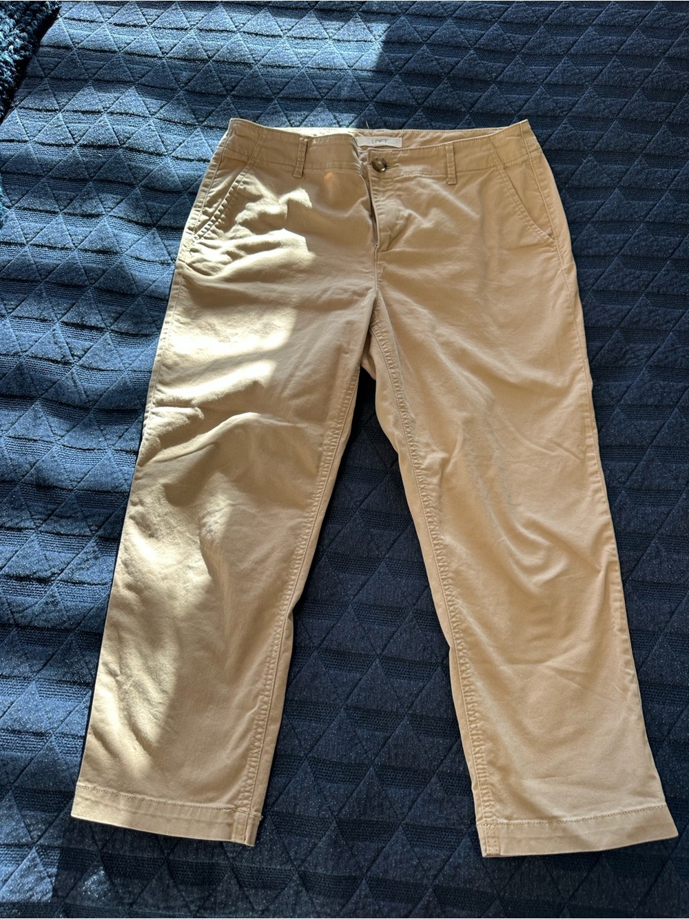LOFT Women's Cropped Chino Pants in Tan